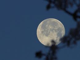 By the light of the moon